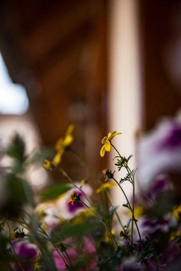 Pastorale Apartman Zalaszentgrót Zewnętrze zdjęcie